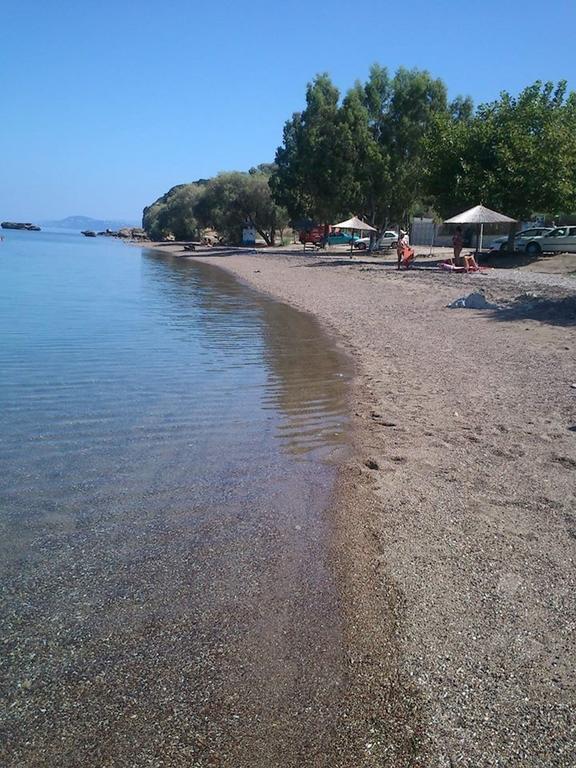 Livanátai Evoikos Beach & Resort מראה חיצוני תמונה