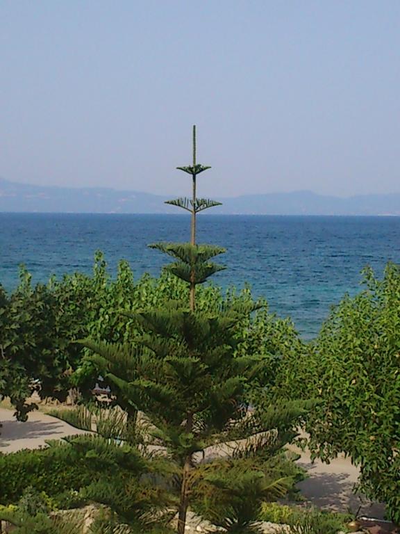 Livanátai Evoikos Beach & Resort מראה חיצוני תמונה
