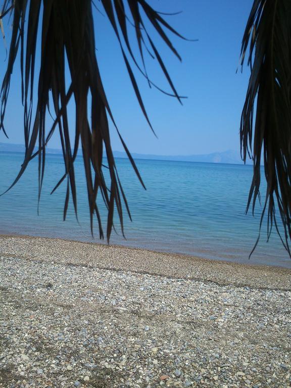 Livanátai Evoikos Beach & Resort מראה חיצוני תמונה