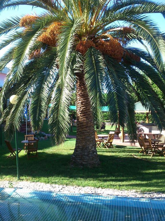 Livanátai Evoikos Beach & Resort מראה חיצוני תמונה